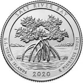 2020-P United States 25-Cent Salt River Bay National Historical Park and Ecological Preserve/U.S. Virgin Islands National Park Quarter Coin (Brilliant Uncirculated)